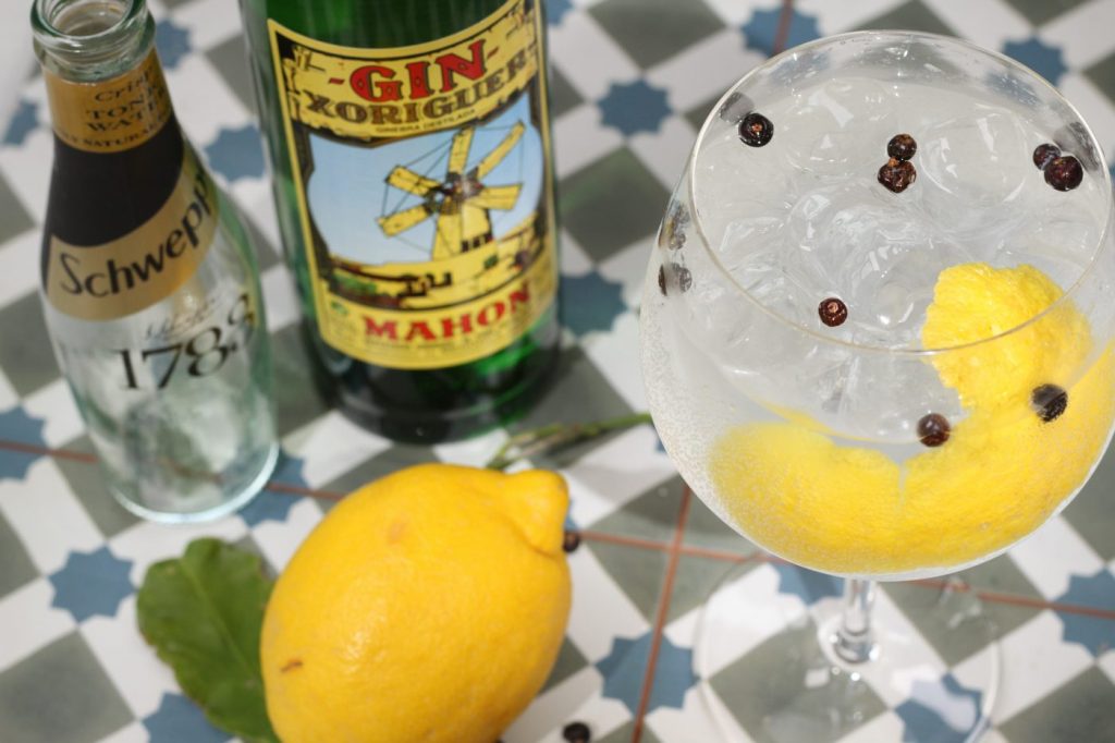Top Tips for Making a Spanish Gin