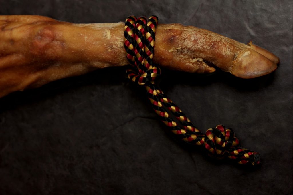 How to Carve Serrano Ham Leg