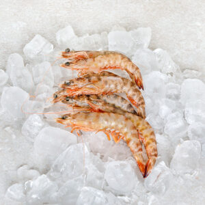 Sanlucar King Prawns