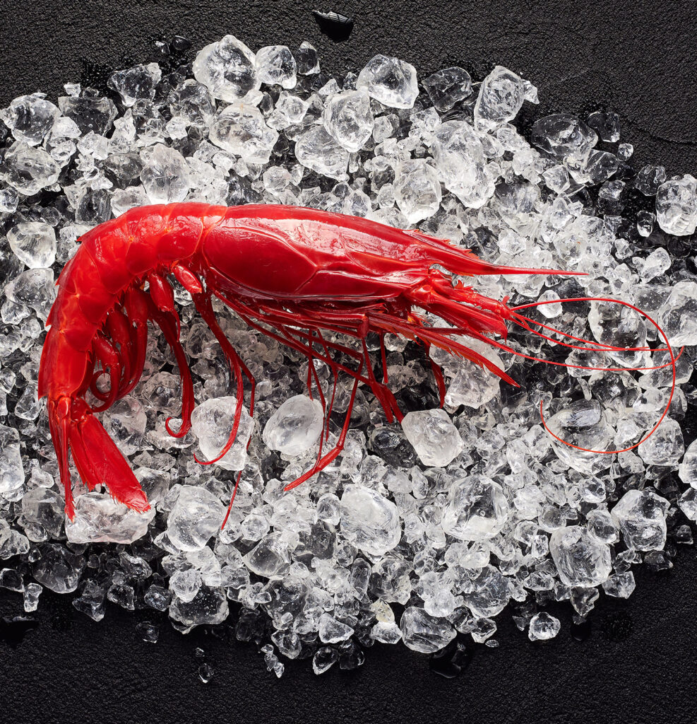 Extra Large Carabinero Prawns 5/7