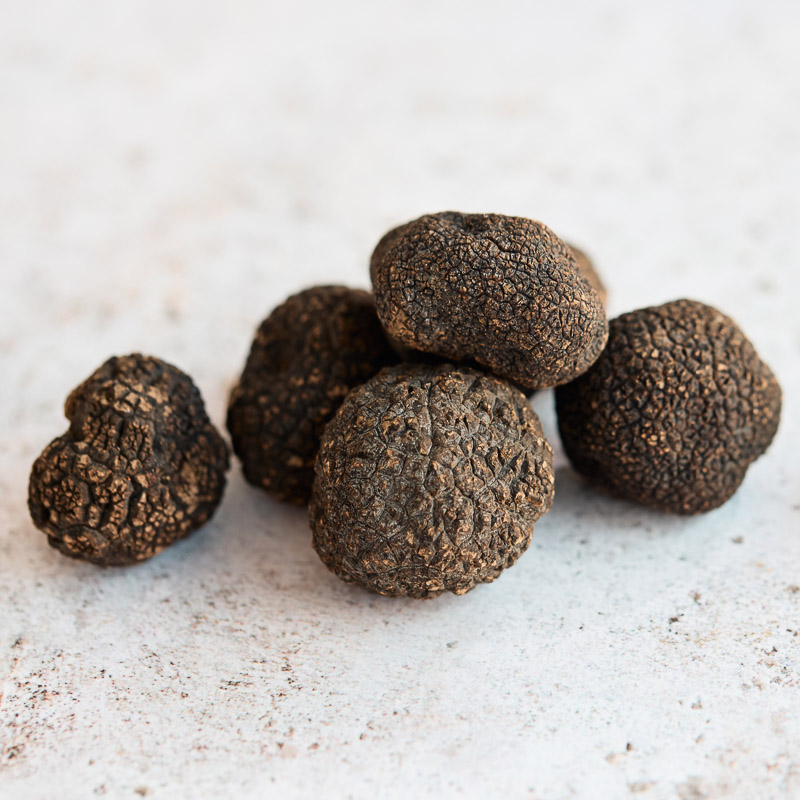Fresh Black Winter Truffle