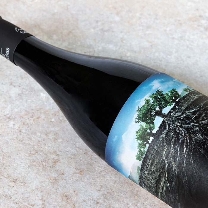 La Garnacha Salvaje de Moncayo 2022