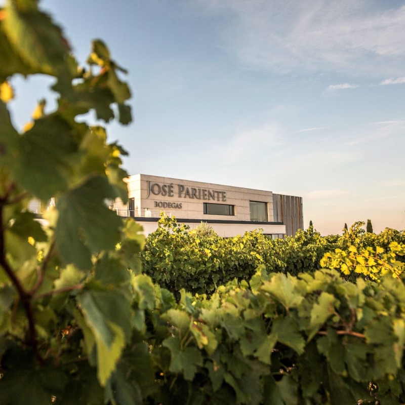 Bodegas José Pariente