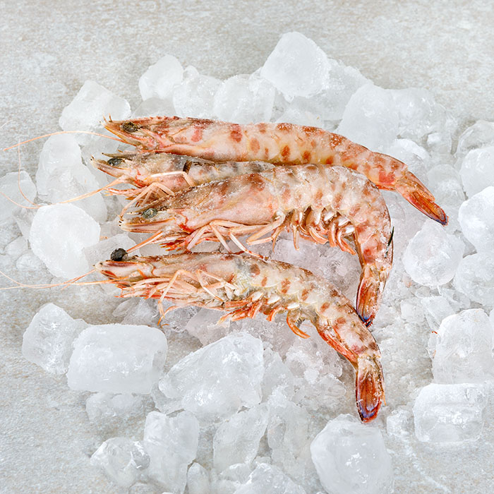 Wild Tiger Prawns 10/20