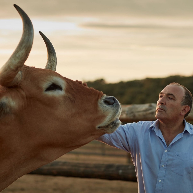 El Capricho by José Gordón